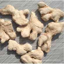 Stardard Quality Ginger Whole Air Dried